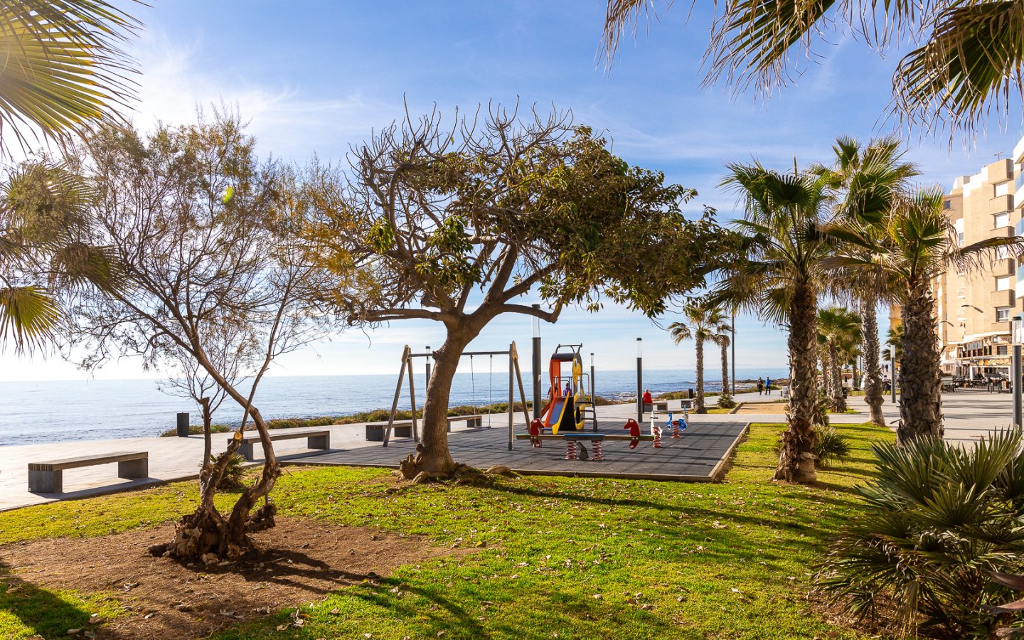 Huerto 46 (38) Huerto 46 (38)