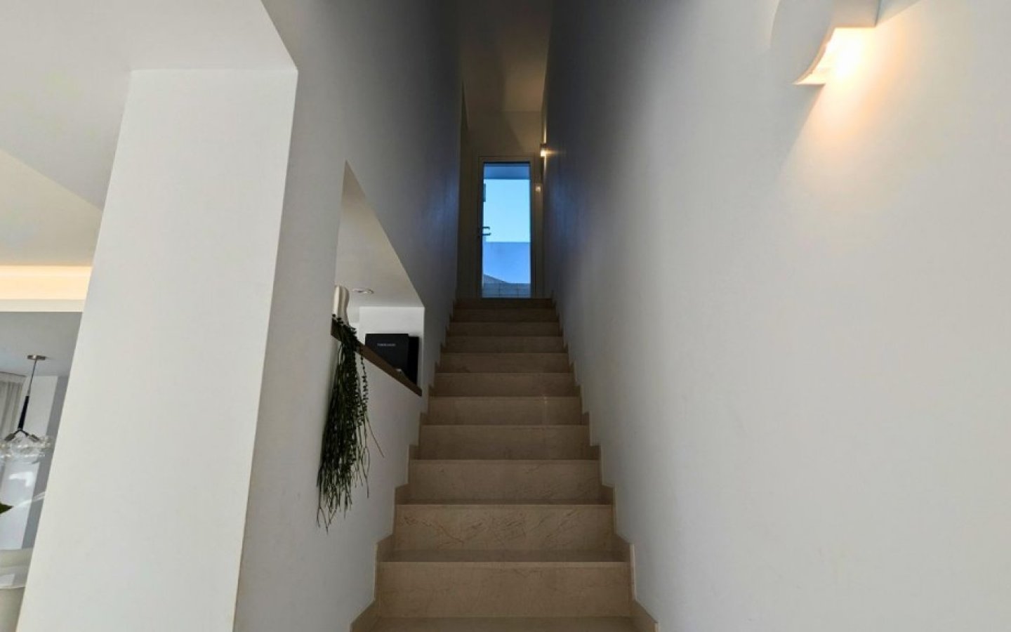 full_1408686_63507636