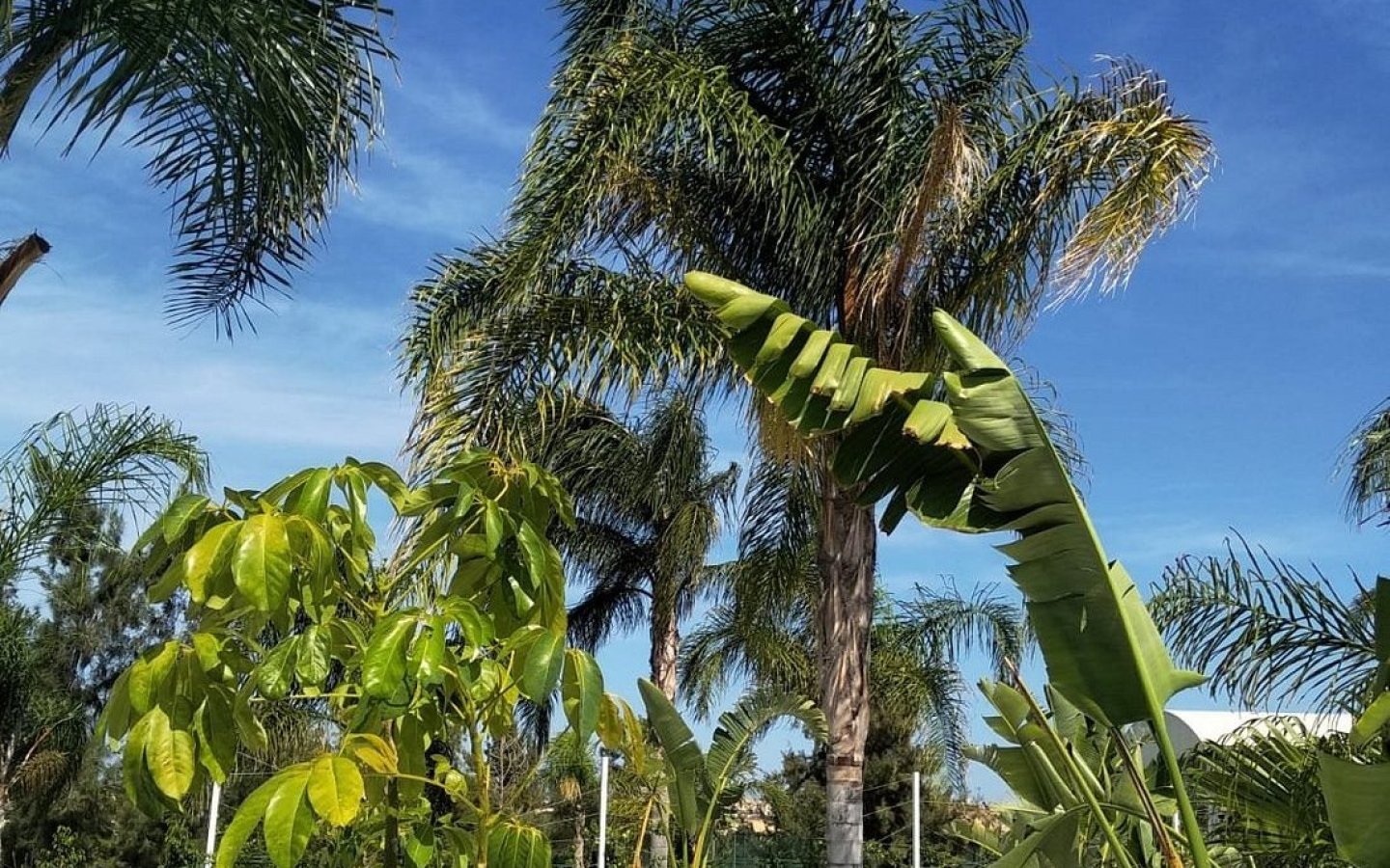 desde-dentro-del-jacuzzi