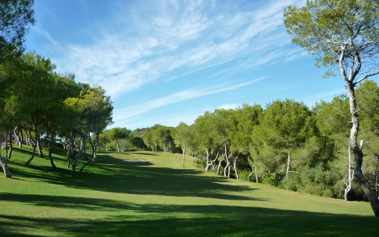 hotel-la-finca-golf-spa (2)