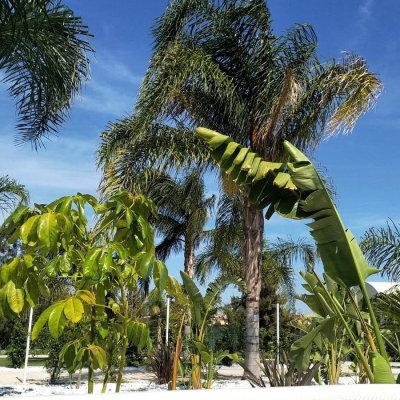 desde-dentro-del-jacuzzi