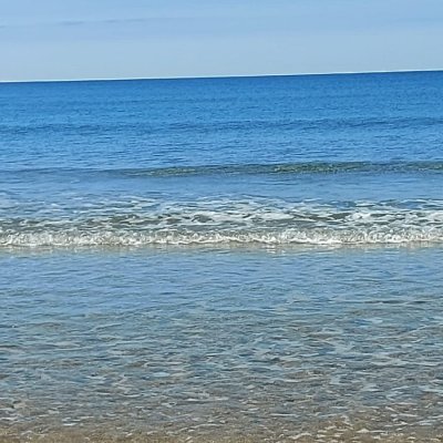 470209639_1646594139287338_8767387384811633671_n