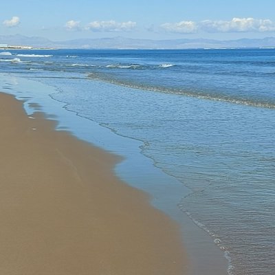 470233745_1646594609287291_3121175694674711881_n