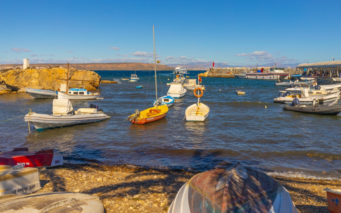 464390168_1330046625043886_7499416734418848122_n