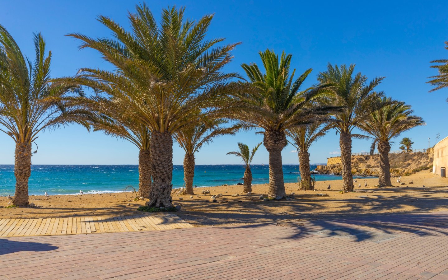 464408725_1330046758377206_3636790383403462046_n