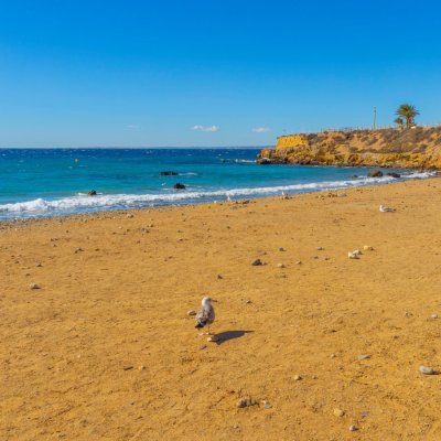 464407105_1330046951710520_8641605349363508678_n