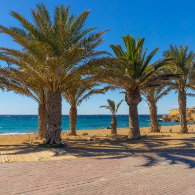 464408725_1330046758377206_3636790383403462046_n