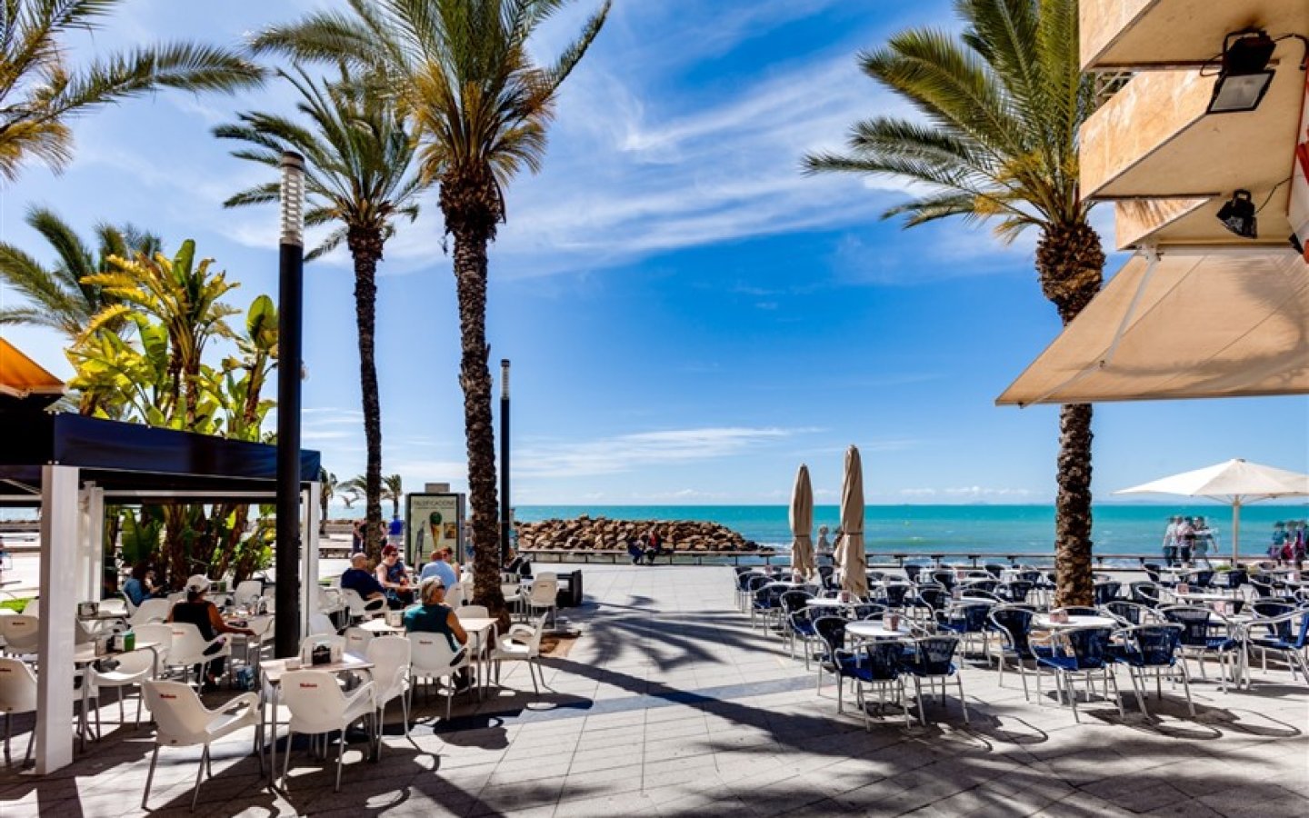 WhatsApp Image 2024-07-29 at 15.26.17 (34) WhatsApp Image 2024-07-29 at 15.26.17 (34)