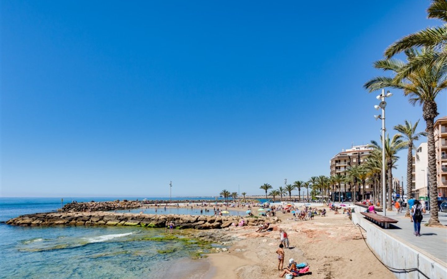 WhatsApp Image 2024-07-29 at 15.26.17 (46) WhatsApp Image 2024-07-29 at 15.26.17 (46)