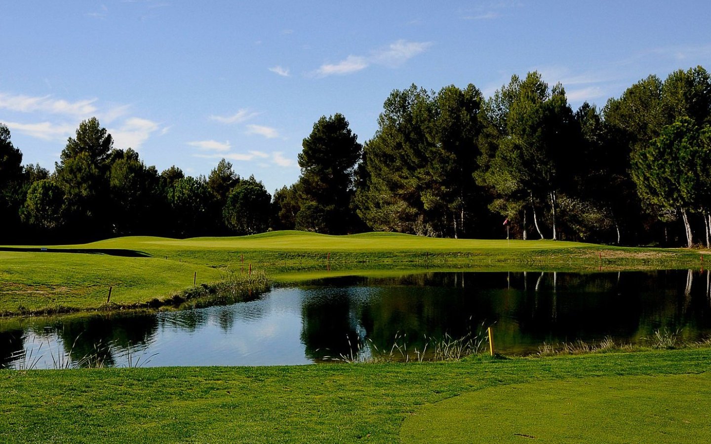 green-del-4-protegido