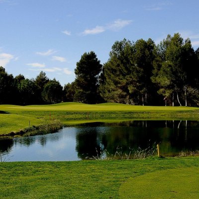 green-del-4-protegido