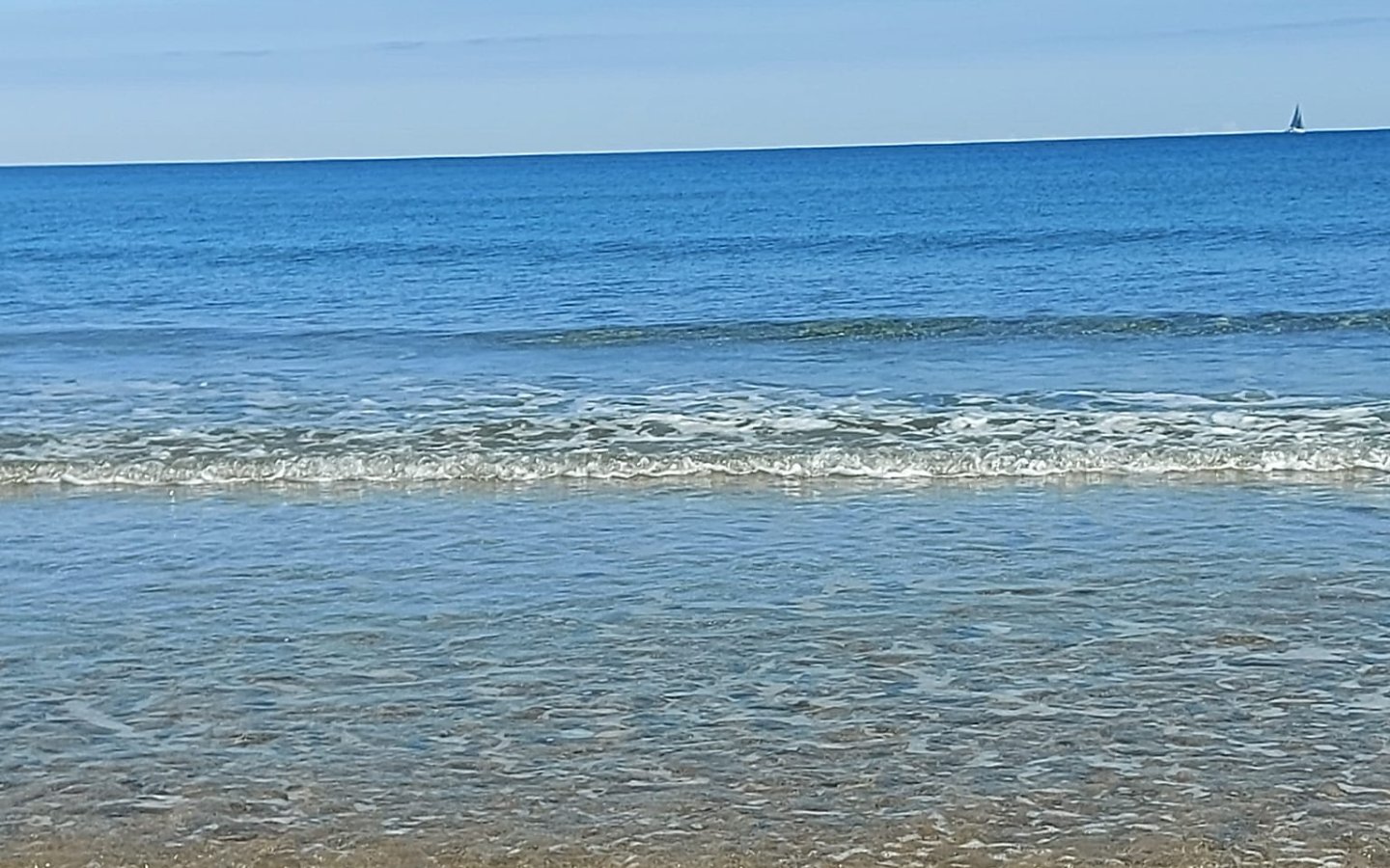 470209639_1646594139287338_8767387384811633671_n