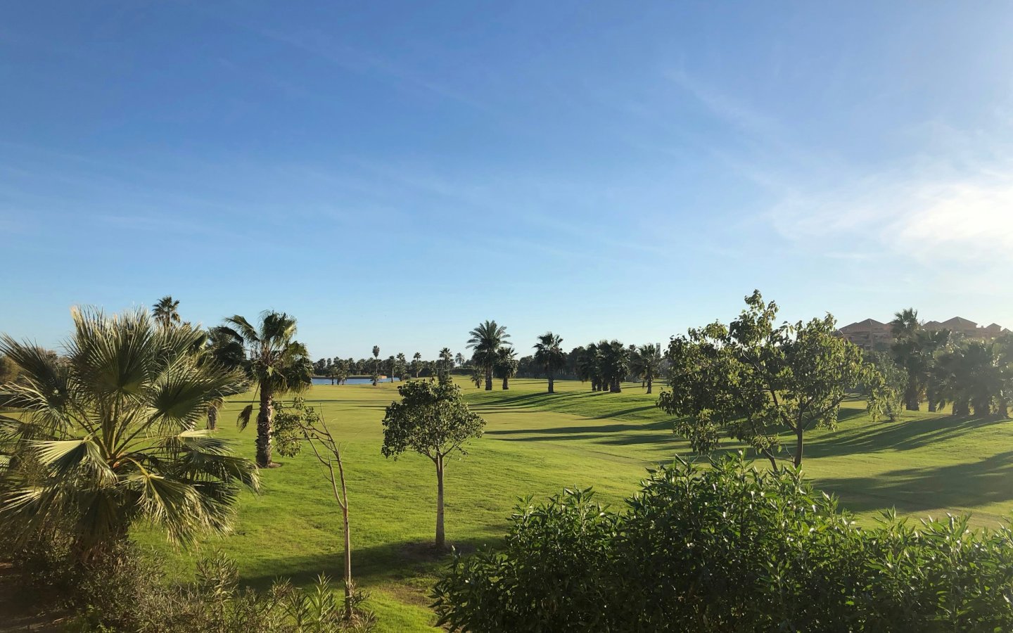 jorge-fernandez-salas-i5hkO6Y0yCM-unsplash