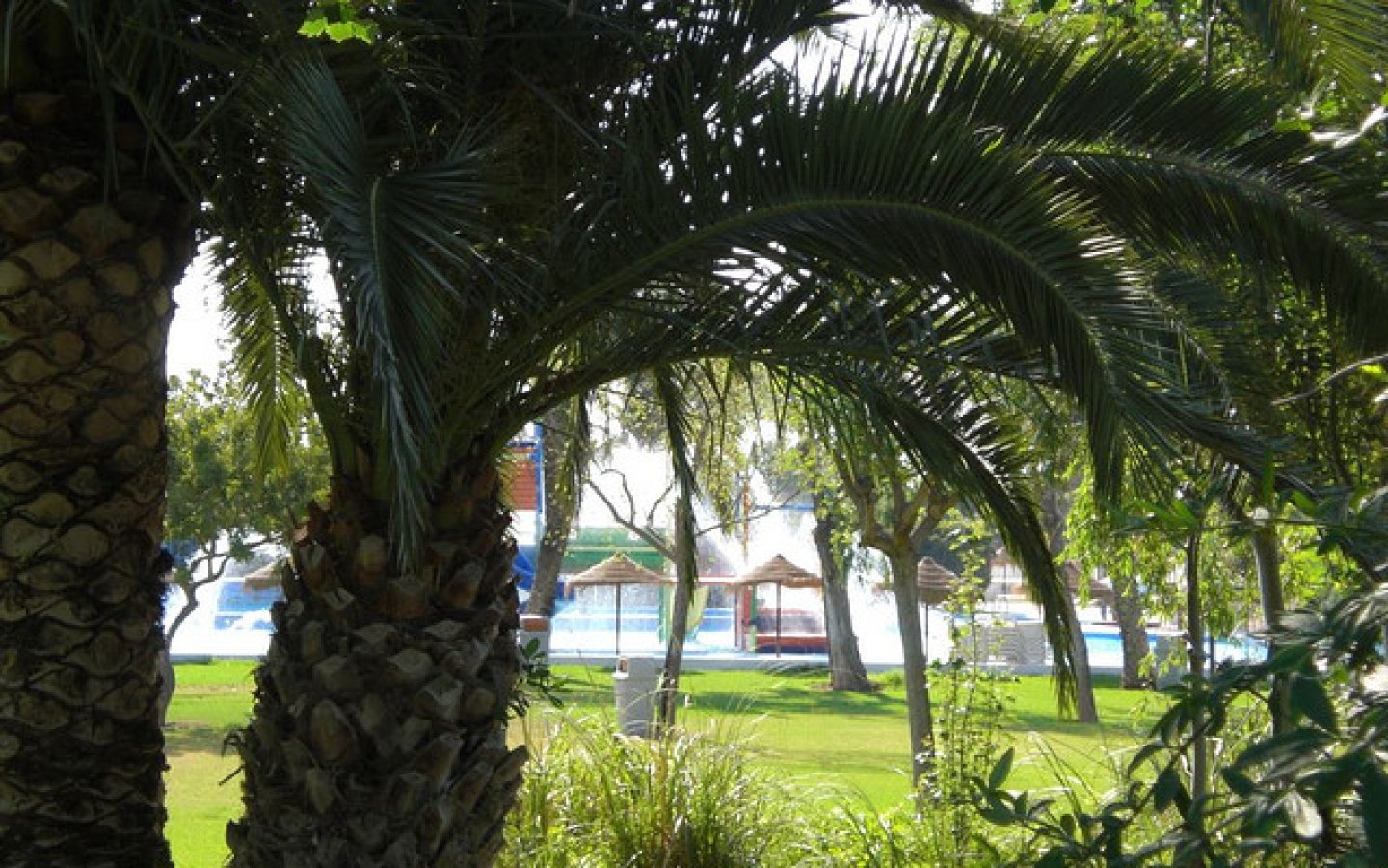 3589153441_3769a747fb_z