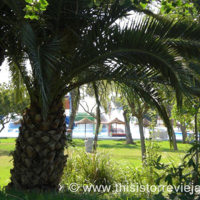 3589153441_3769a747fb_z