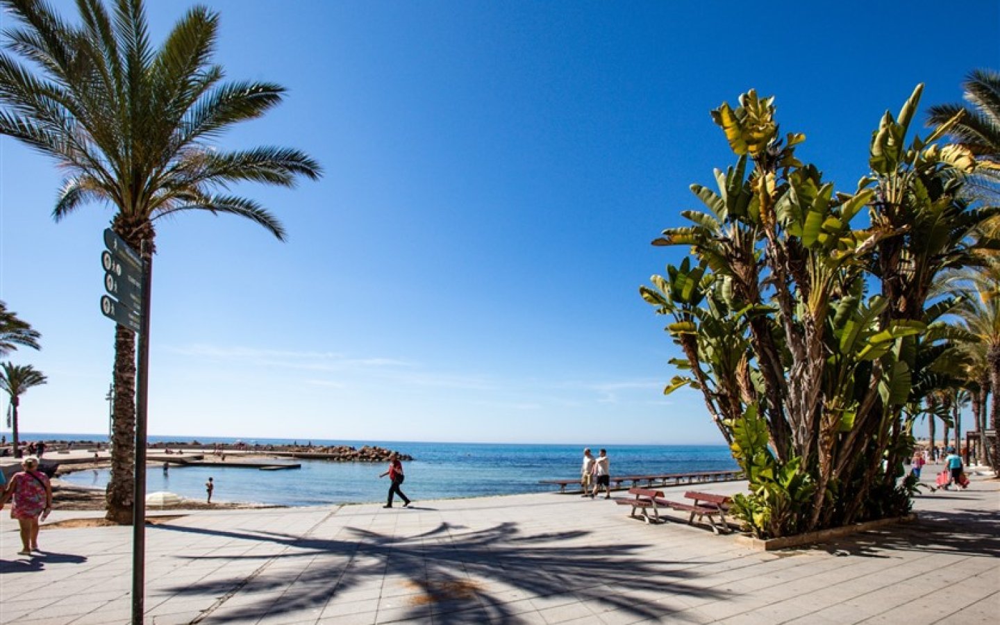 WhatsApp Image 2024-07-29 at 15.26.17 (33) WhatsApp Image 2024-07-29 at 15.26.17 (33)